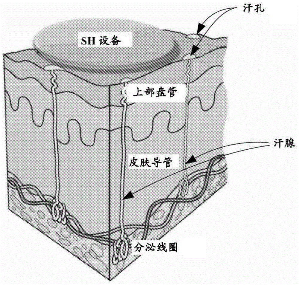 用于测量和分析体液的可穿戴系统、设备和方法与流程