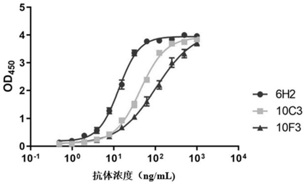 一种识别EB病毒gH糖蛋白的单克隆抗体及其应用