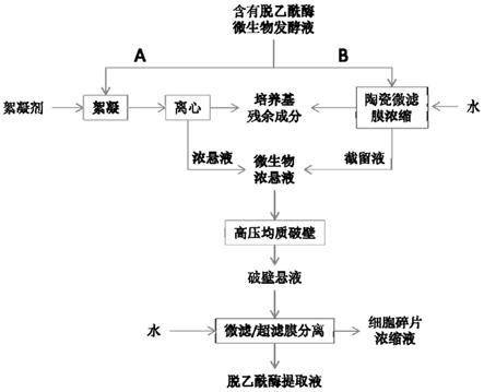 一种N-乙酰氨基葡萄糖脱乙酰酶的提取方法与流程