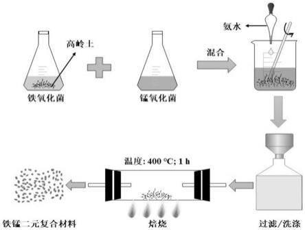 一种生物型铁锰复合材料及制备方法和应用