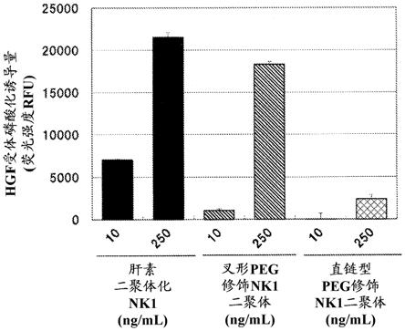 肝细胞生长因子或其活性片段的聚乙二醇修饰物的制作方法