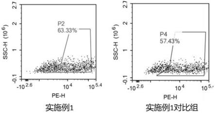 一种低成本多能干细胞分化造血干细胞的培养基及培养方法与流程