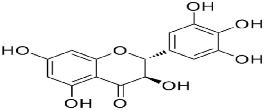 二氢杨梅素在抗药物依赖/成瘾中的应用的制作方法