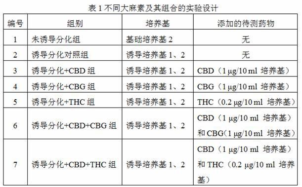 一种大麻素组合物及其在制备治疗帕金森、阿尔茨海默等神经退行性疾病的药物中的应用的制作方法