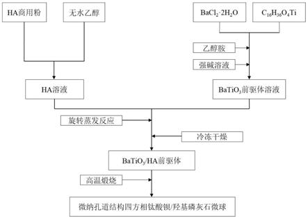 微纳孔道结构四方相BaTiO3/HA空心微球的制备方法