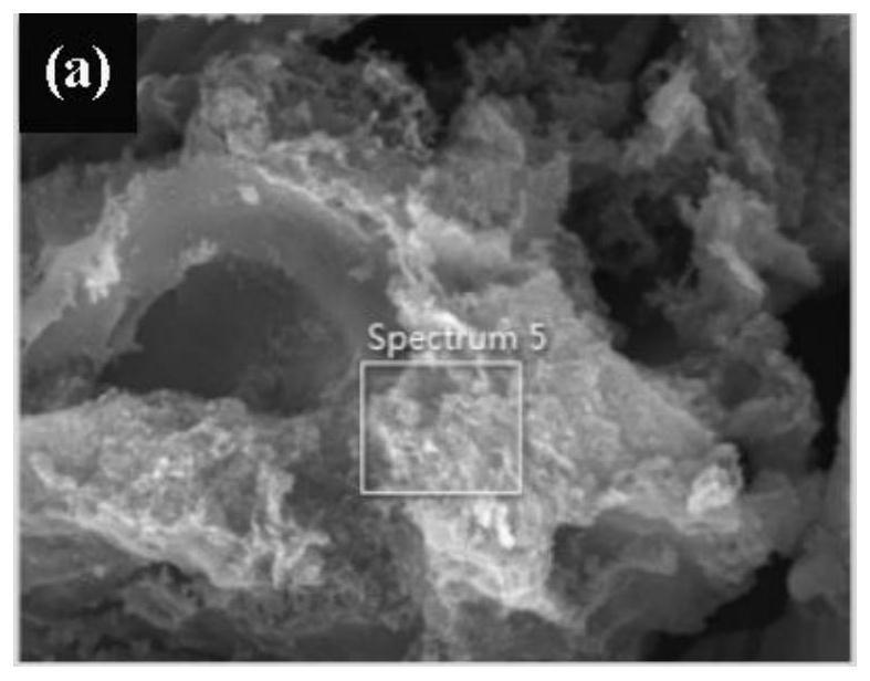 一种氮磷硼同步掺杂多孔生物炭材料制备方法与流程