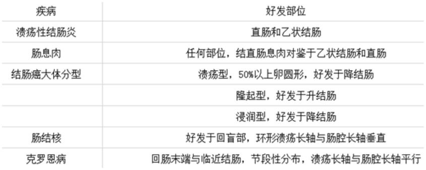 一种模拟肠镜检查与诊断系统及方法