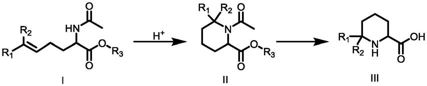 6,6-二烷基哌啶-2-羧酸化合物的合成方法与流程