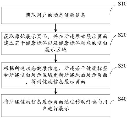 动态健康信息展示装置及系统的制作方法