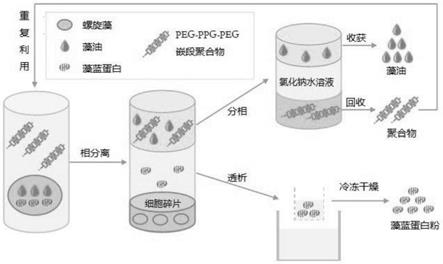 一种螺旋藻藻蓝蛋白和藻油的同步提取方法与流程