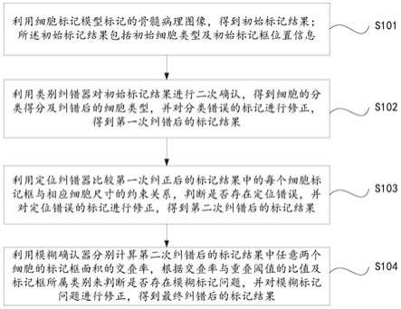 骨髓图像个体细胞自动标记中的纠错方法及系统