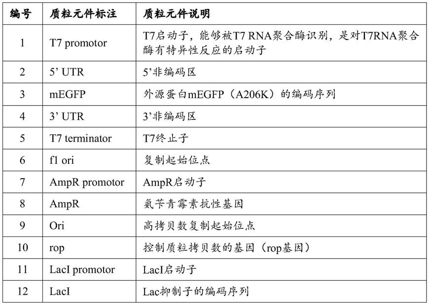 一种基于疏水界面的体外无细胞蛋白合成方法、D2P试剂盒及相关应用与流程