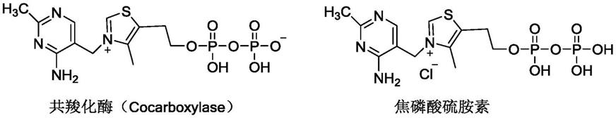 一种共羧化酶及其四水合物或盐的制备方法与流程