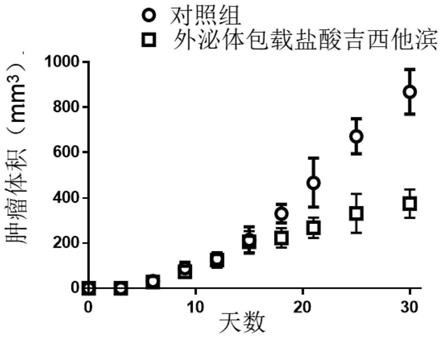 一种膀胱靶向载药外泌体及应用和治疗膀胱疾病药物的制作方法