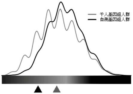 一种眼科疾病相关SNP位点引物组合物及应用