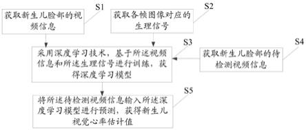 一种面向新生儿的视觉心率估计方法、装置及系统