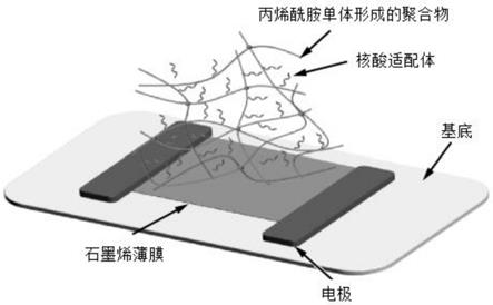 一种三维水凝胶-石墨烯基生物传感器及其制备方法