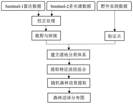 基于Sentinel卫星影像和随机森林算法的森林沼泽提取方法