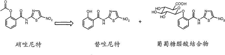 替唑尼特药物组合物及其医药用途的制作方法