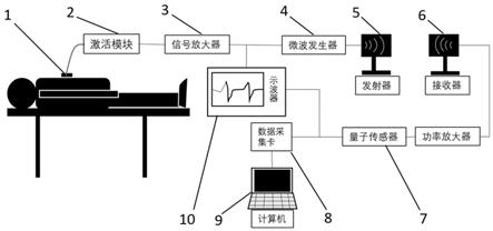 基于金刚石NV色心量子磁强计的无线心跳检测系统