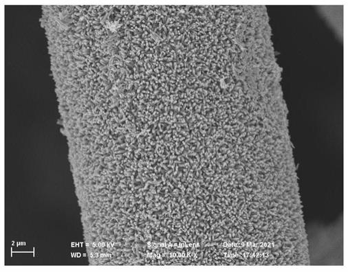 一种用于锌碘液流电池的石墨毡复合电极、其制备方法和应用