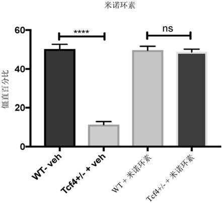 用于治疗皮特-霍普金斯综合征的米诺环素的制作方法