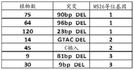 包含雄性育性序列的组合物和方法与流程