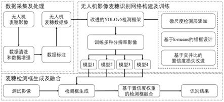 基于深度学习的无人机影像麦穗识别方法