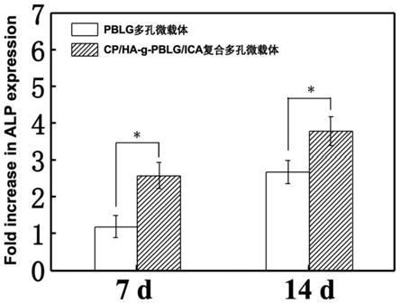 用于牙槽骨缺损修复的聚氨基酸微载体及其制备方法