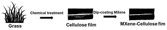 一种柔性透气的MXene基生物质表皮电极及其制备方法和应用