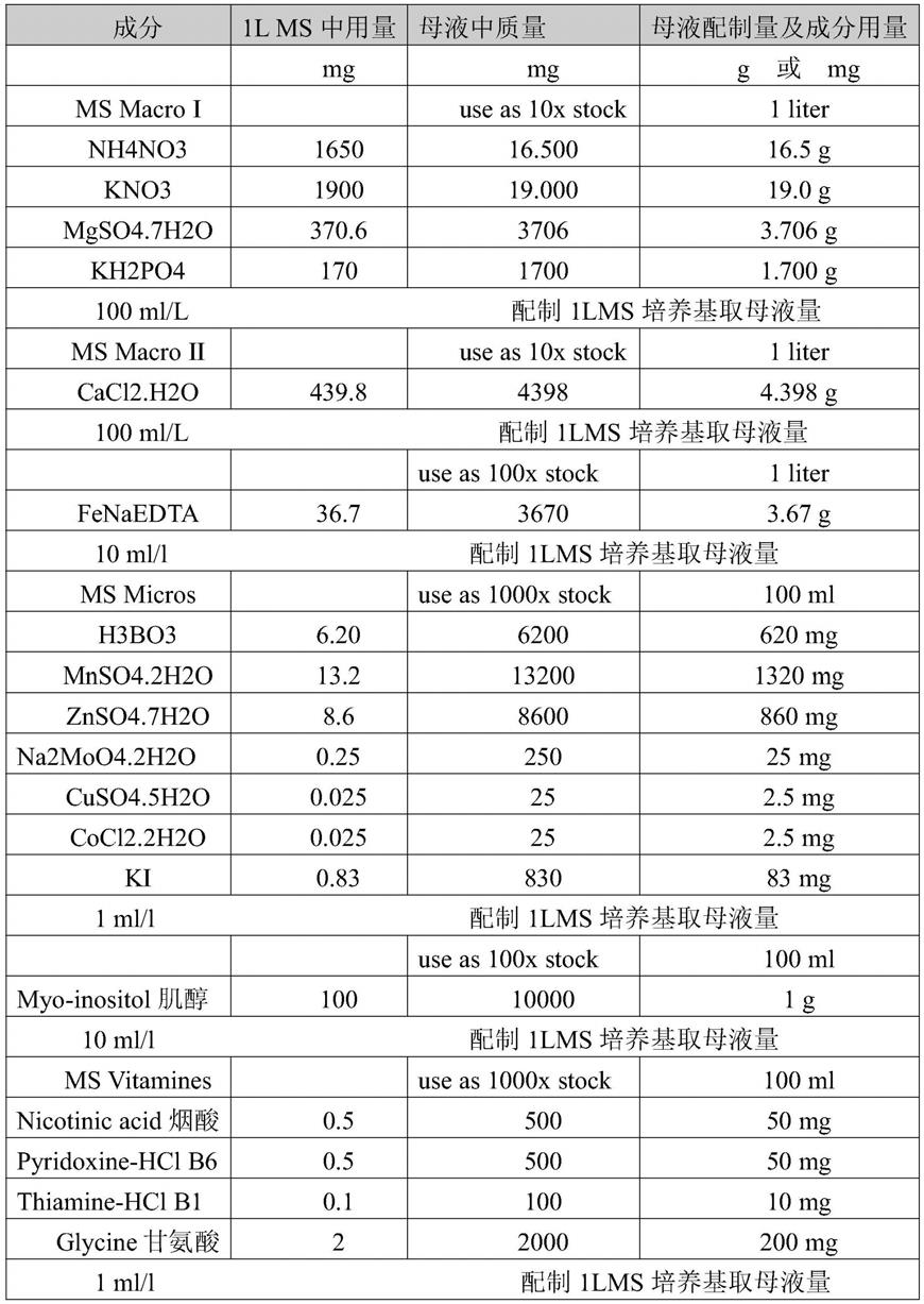 一种沙打旺组织的培养再生方法