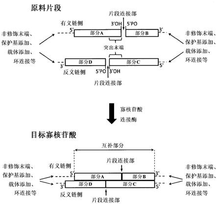 包含互补部分的修饰寡核苷酸的制造方法与流程