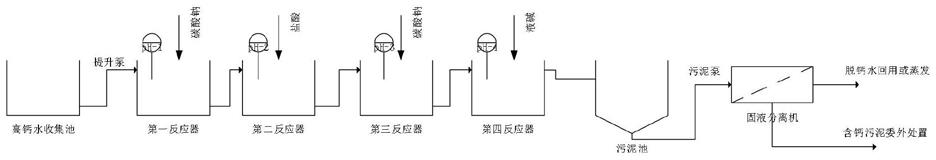 一种用于碱性高钙废水去除钙离子的处理系统的制作方法