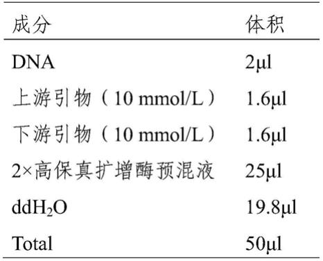 与油茶种子油中亚麻酸含量相关的DNA片段、其紧密连锁的SNP分子标记及其应用的制作方法