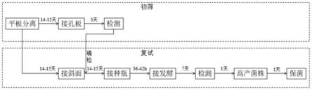 一种去甲四环素高产菌株的筛选方法及培养基与流程