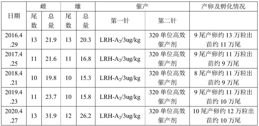 一种白甲鱼人工繁殖的方法与流程