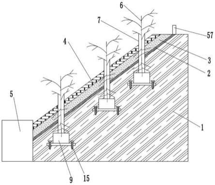 用于斜坡上种植植物的防水土流失护坡结构