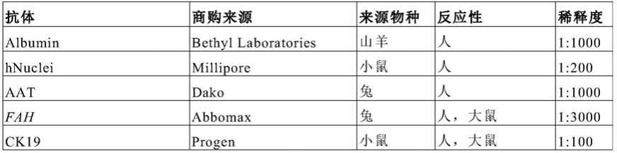 Fah基因缺失动物的程序化慢性肝损伤维持及其在制备异源化肝脏模型中的应用