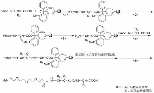 聚乙二醇化含D-氨基酸多肽的合成与酶解的促进