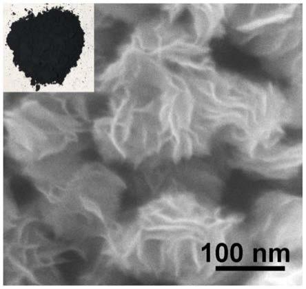 一种具有高含量氧空位缺陷的黑色二氧化钛B纳米片制备方法