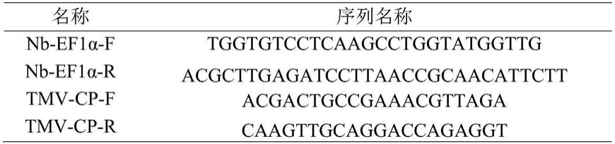 五味子果实提取物及其制备方法与在抗烟草花叶病毒中的应用