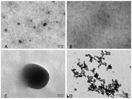 一种锰离子-CpG寡核苷酸纳米颗粒的制备方法及应用