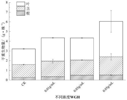 一种植物源伴矿景天专用水肥的制备及应用的制作方法