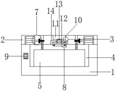 —种生物实验教学教具的制作方法