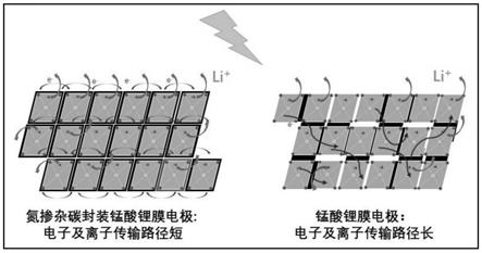 一种用于溶存锂资源电化学提取的氮掺杂碳封装锂离子筛膜电极