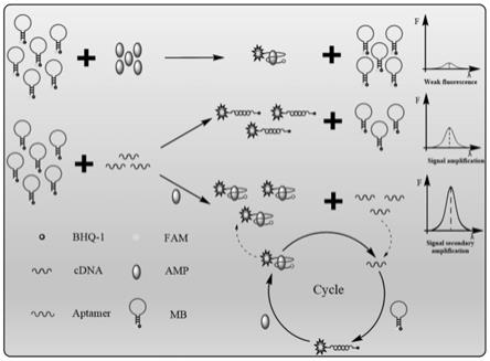 一种无酶循环放大核酸适配体传感器及其制备方法和应用