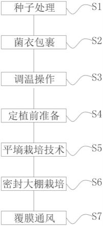 一种节本增效的大棚辣椒种植技术的制作方法