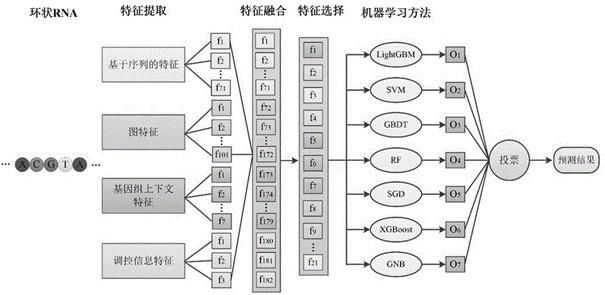 一种基于集成学习的circRNA-miRNA相互作用关系预测方法