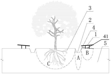 一种基于水盐运移原理的重盐碱地树木种植方法与流程