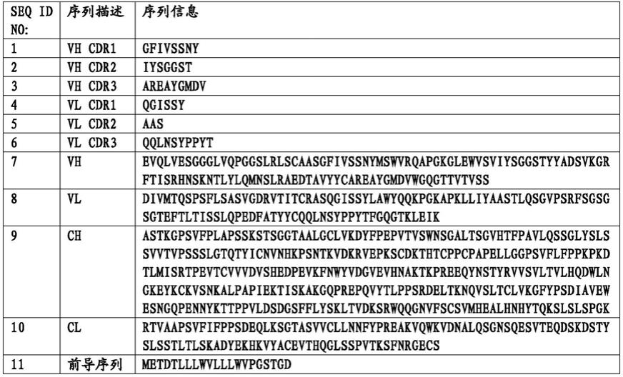 一种抗新型冠状病毒的单克隆抗体及其应用的制作方法